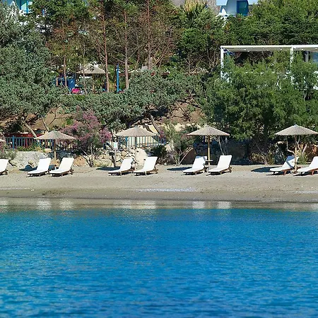 Sunrise Hotel 4*
